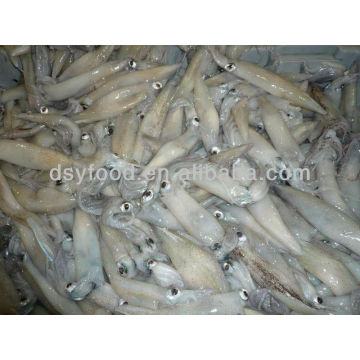 Seafood Export WhosaleFrozen California Squid